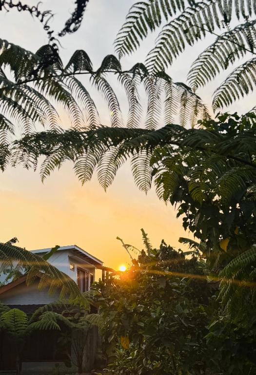 Opik Homestay Tetebatu - B&B Tetebatu