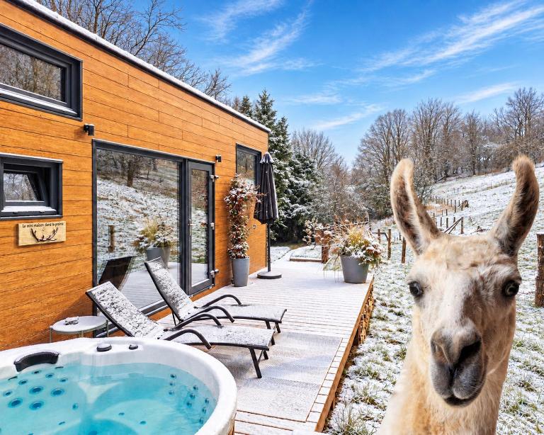 La mini maison du Lama - B&B Libin