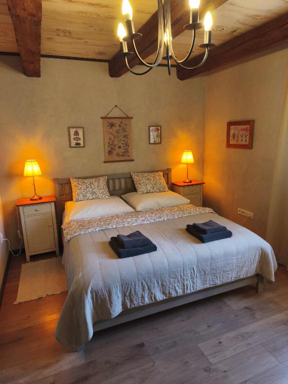 Domus Nö58 - Bed and Breakfast Litomyšl