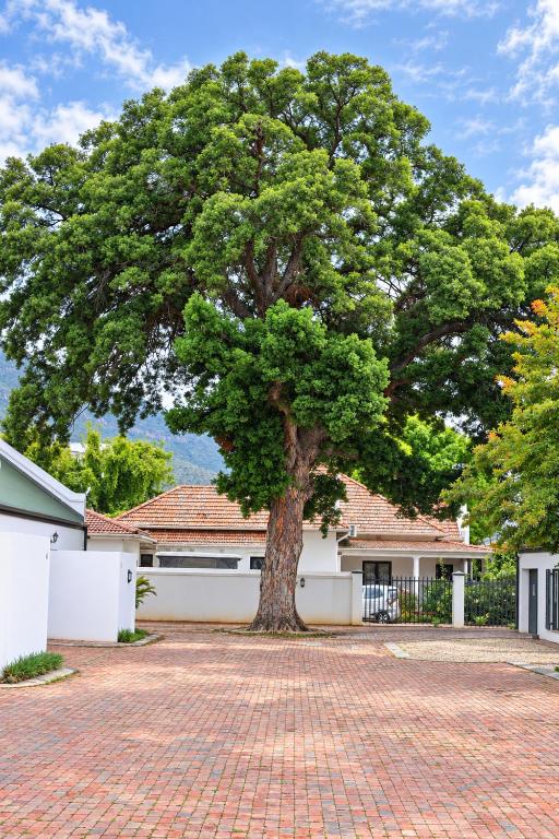 Springbok Cottage - Ferienwohnung Graaff-Reinet