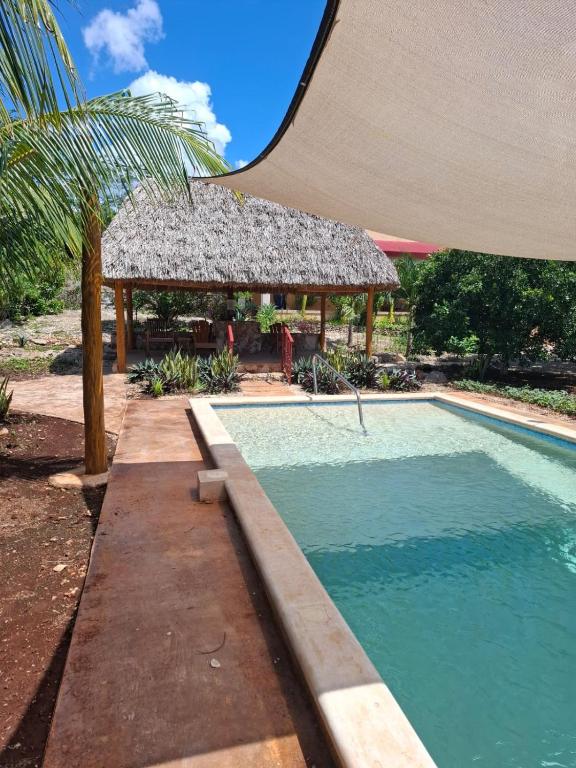 Rancho Camote - Frida 1 bedroom - Chambres d'hôtes Chichimila