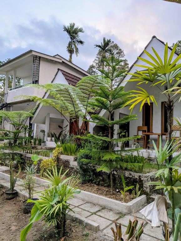 Stokel Cottage - B&B Praya