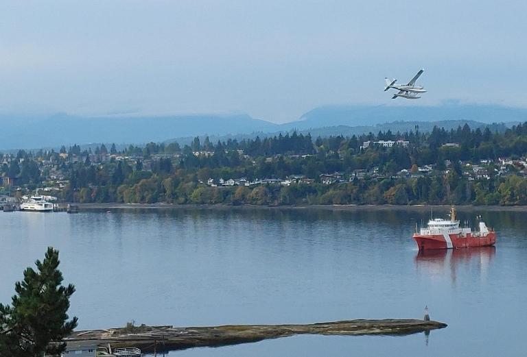 Quiet Ocean View Open Concept, Loft Style Studio within Forested Area, Near Parks & Ferry - B&B Nanaimo