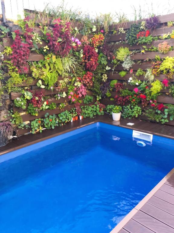 Studio confortable Le Port 24 m² avec piscine partagée - Bed and Breakfast La Possession