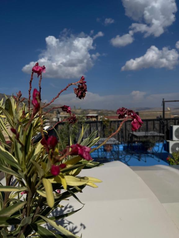 Skilfo housse - B&B Fes