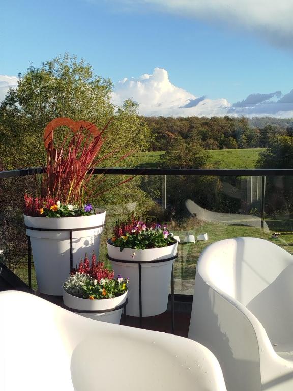 Les Terrasses de l'ourthe - Gîte 4 personnes - Ardennes - Durbuy - Parking gratuit - Chambres d'hôtes Noiseux
