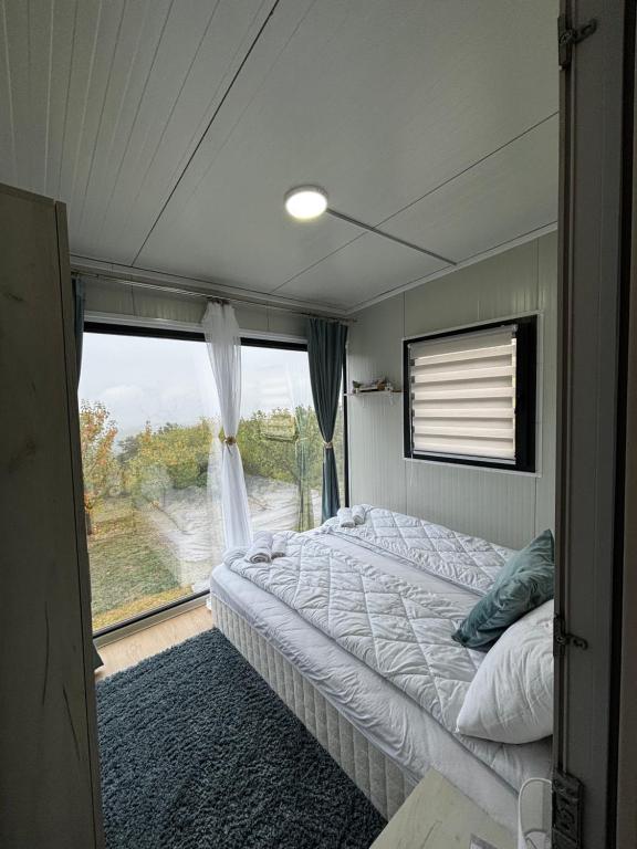 Casa Dunja Čačak - B&B Čačak