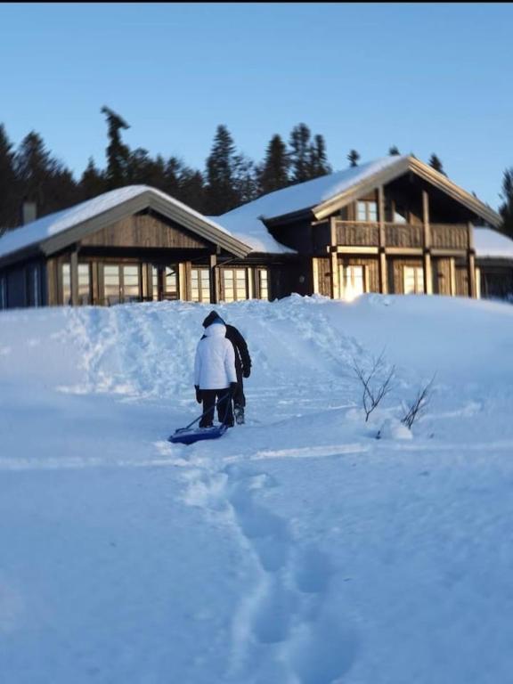 Eksklusiv fjellhytte på 1050 moh med peis og badstue - Ferienwohnung Aurdal