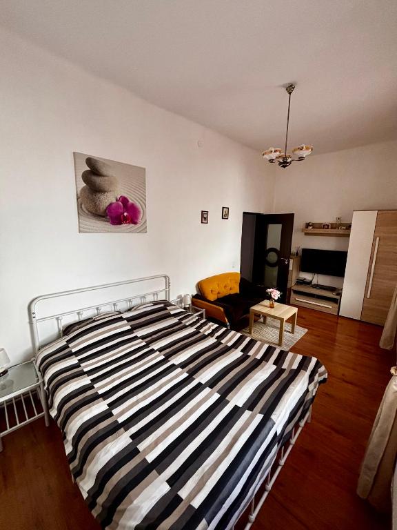 Ava Republique - B&B Braşov