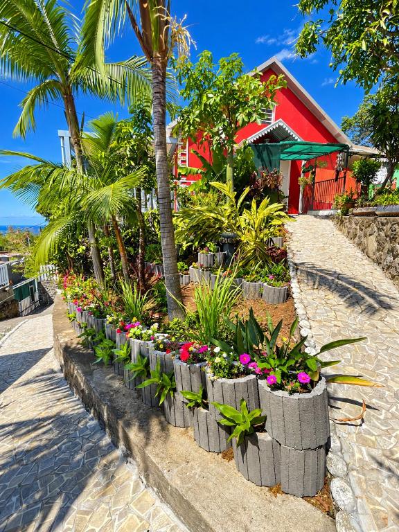 Villa Rosana - Ste Clotilde - jardin - vue mer et ville - B&B Saint-Denis