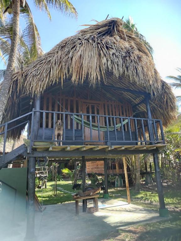 SakaNibue - Ferienwohnung San Bernardo del Viento