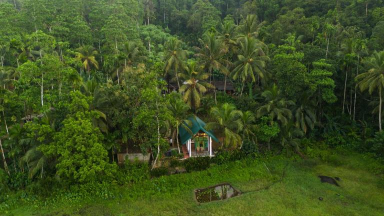 Rainforest Nature Resort - Sinharaja - Bed and Breakfast Deniyaya