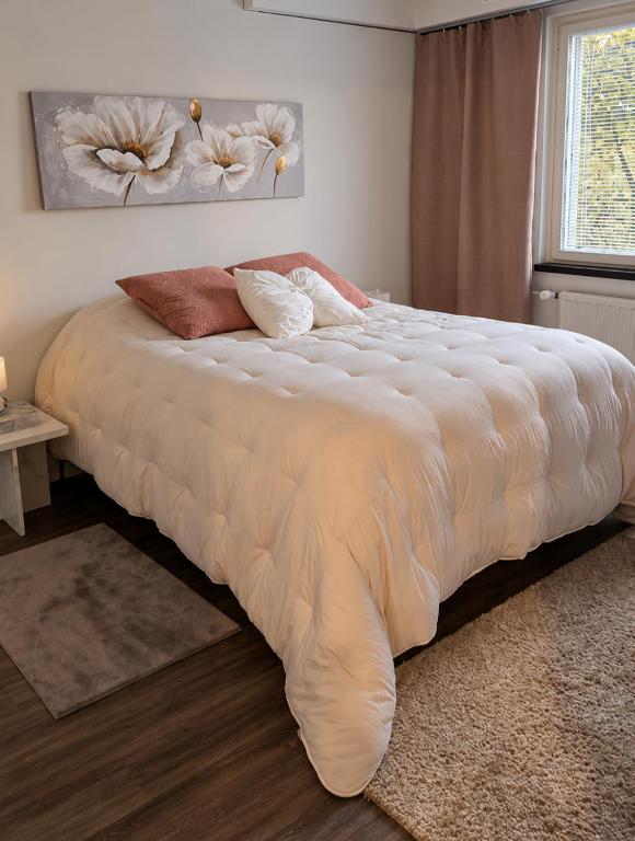 Huoneisto Linnankadulla - B&B Savonlinna