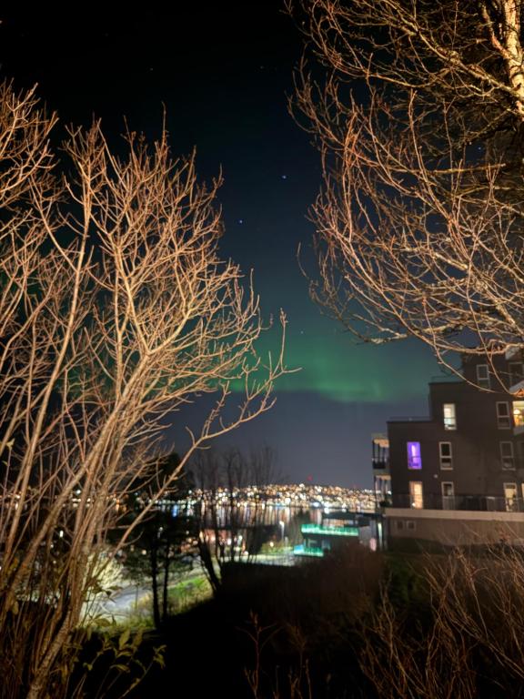 Cozy feel home 2 bedroom and 1 sleeping coach apartment - B&B Tromsø
