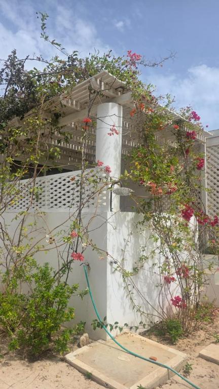 Bungalow Praia de Chaves Boa Vista - B&B Cabeçadas