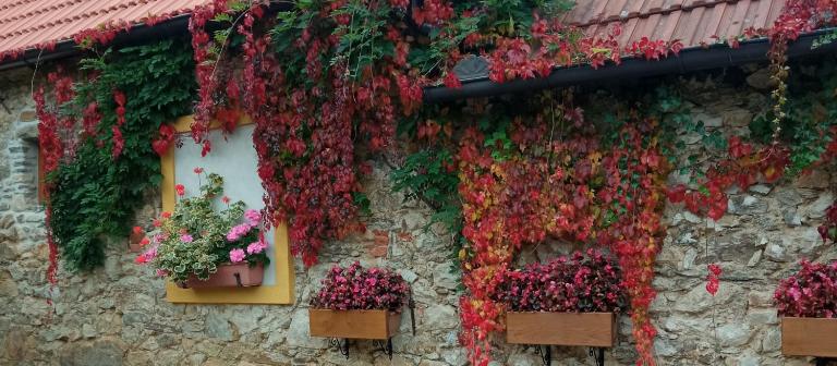 Pension Fanlor - B&B Zubčická Lhotka