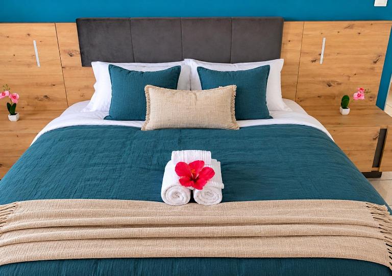 Magnifique T2 aux Trois-ilets, situé à 2min de la plage - B&B Les Trois-Îlets