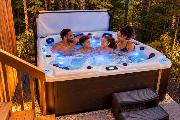 CHALET LAKAY-SPA Piscine Billards 25 min de Québec - Chambres d'hôtes Pont-Rouge
