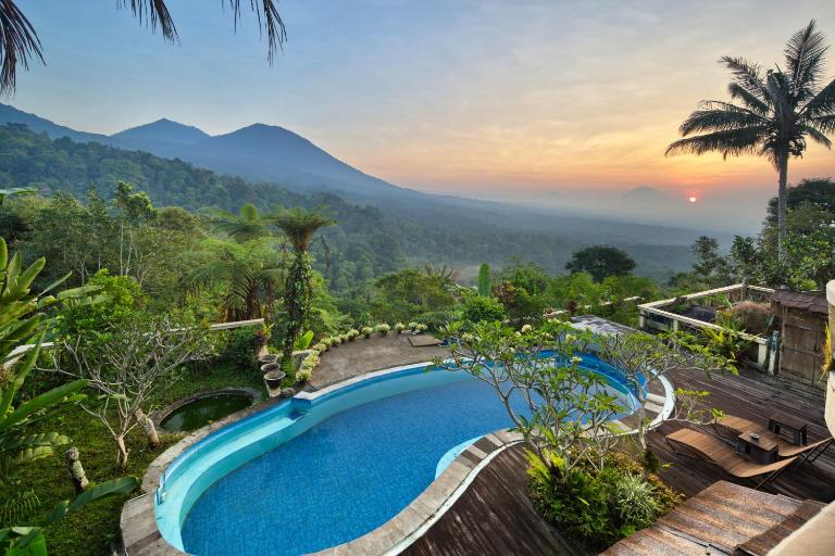 DWan Tea Mountain Side - B&B Jatiwala