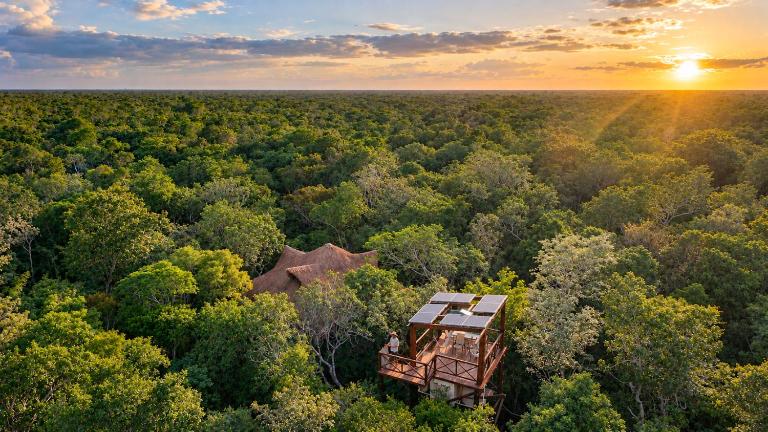 Treehouse Tulum H2Ojos - B&B Tulum