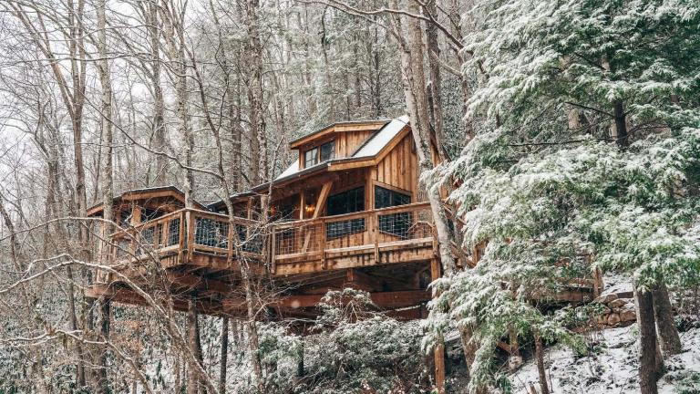 The Dogwood in Treehouse Grove at Norton Creek - Chambres d'hôtes Gatlinburg