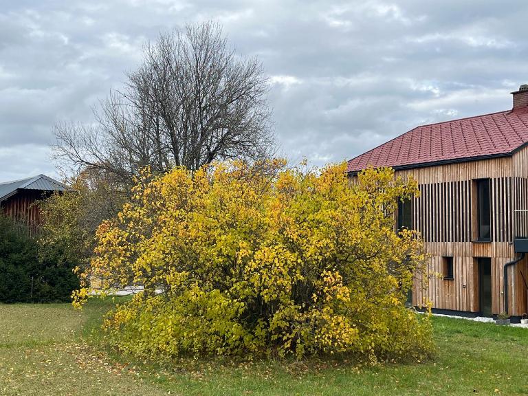Refugium Mitterbach - B&B Mitterbachamt