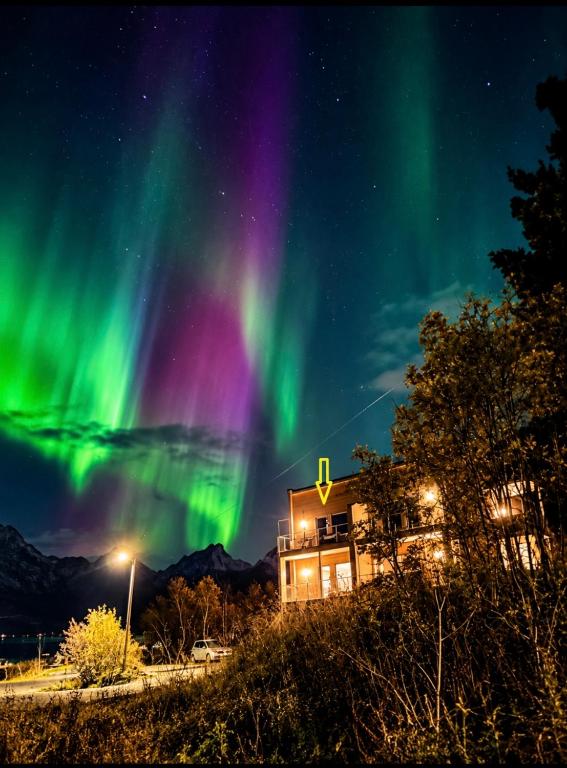 Apartment in Svolvær - B&B Svolvær