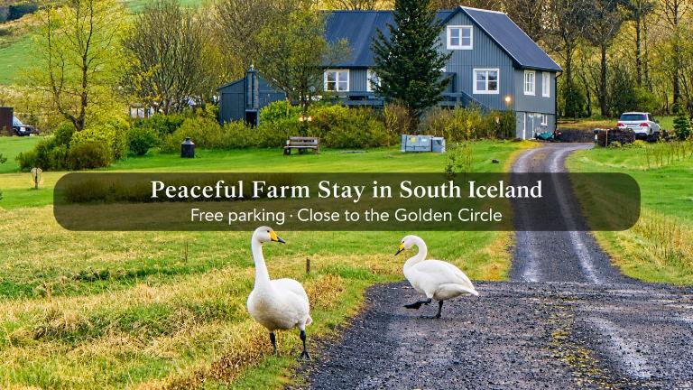 Ásgarður Farm Stay apartment - Bed and Breakfast Selfoss