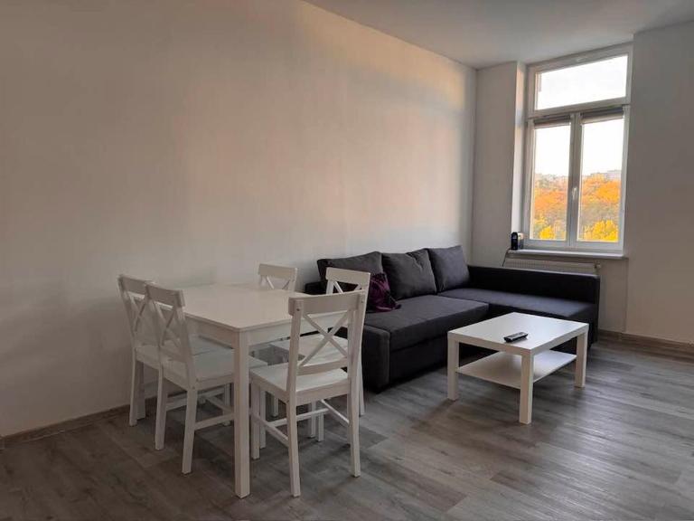 Blue Rose Apatrman2 - Bed and Breakfast Karlsbad