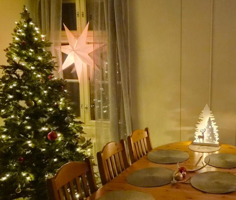 Raanu Apartment 45 minutes from Rovaniemi center - Chambres d'hôtes Raanujärvi
