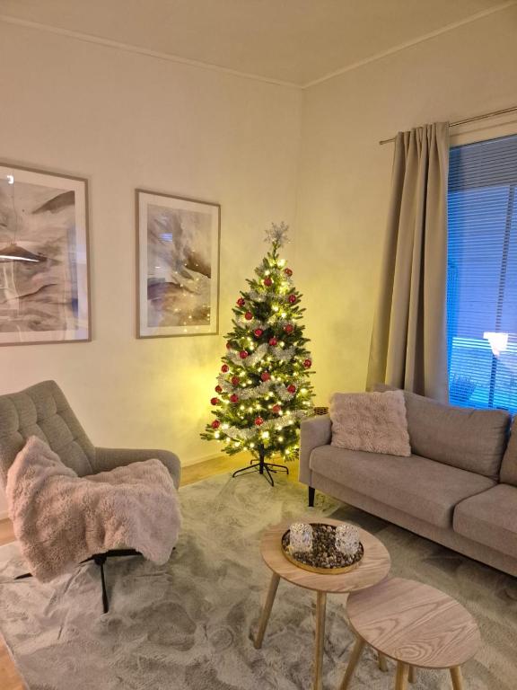 Arctic Circle Cozy Nest - Bed and Breakfast Rovaniemi