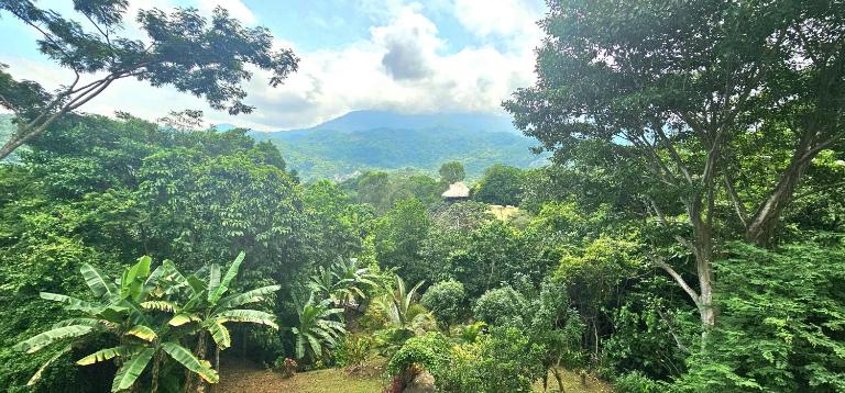 Casa Li Tayrona - B&B El Suán