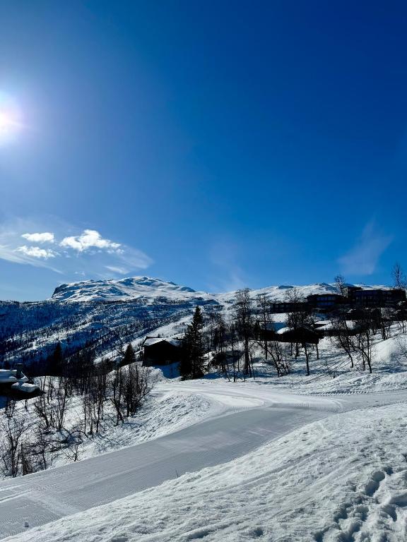 Fantastisk utsikt i Hemsedal med ski in og ski ut - Bed and Breakfast Fausko