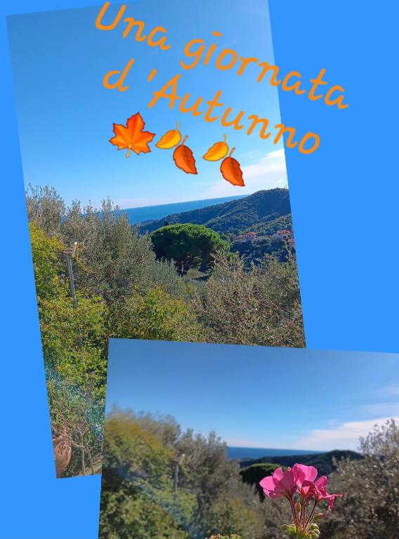 TraMonti e Mare, vista mare giardino, la casa che in ogni stagione si trasforma! - B&B Celle Ligure