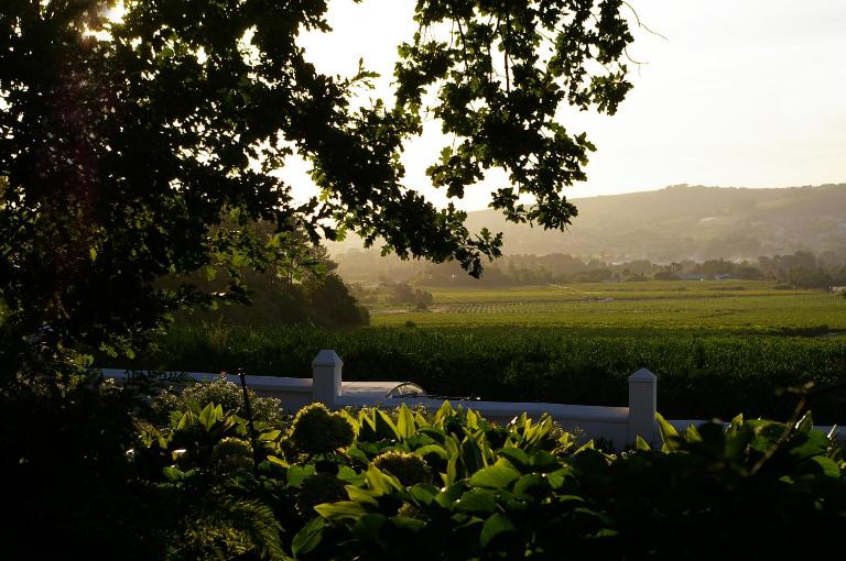 Hartebeeskraal Selfcatering cottage - Chambres d'hôtes Paarl