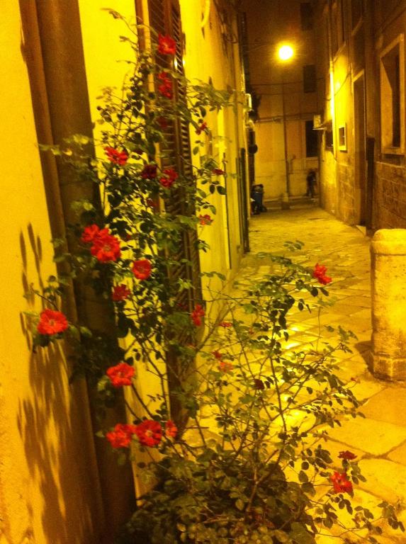 Malvasia room - B&B Brindisi