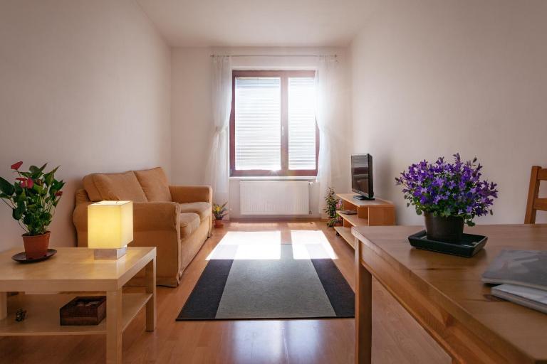 Downtown Apartments Kozatska - B&B Prague