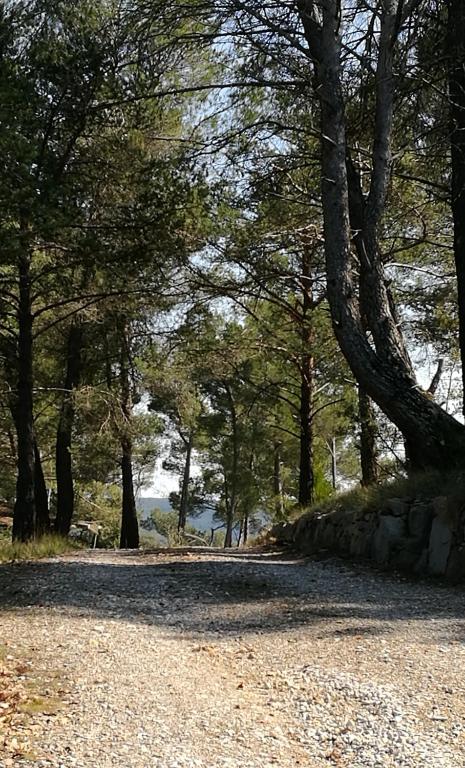 La Pinède du Lac - B&B Esparron-de-Verdon