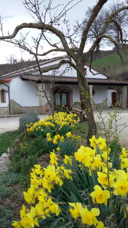 Agriturismo Il Regio Tratturo - B&B Baselice