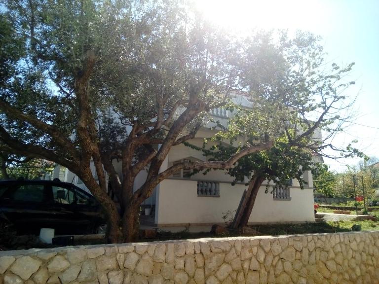 Apartman Korina - Bed and Breakfast Biograd na Moru