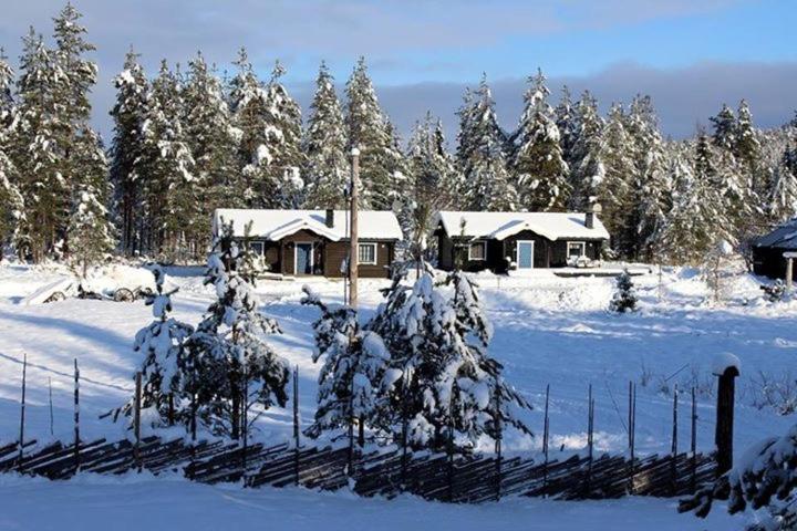 Nymon Mountain Lodge - B&B Stöten