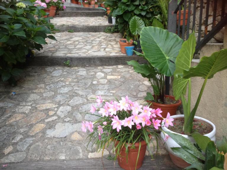 Apartamentos Anateresa - Ferienwohnung Mogarraz