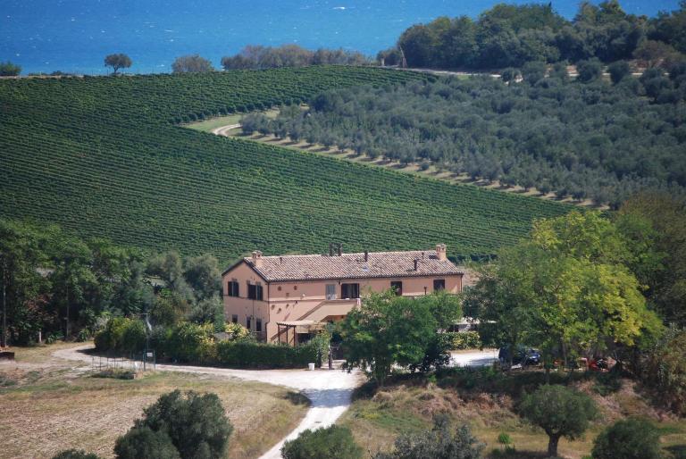 Conero mare campagna il Casale Le Maschere appartamenti - Chambres d'hôtes Numana