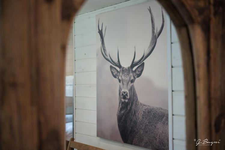 Chalet Le Grand Cerf - B&B Büllingen