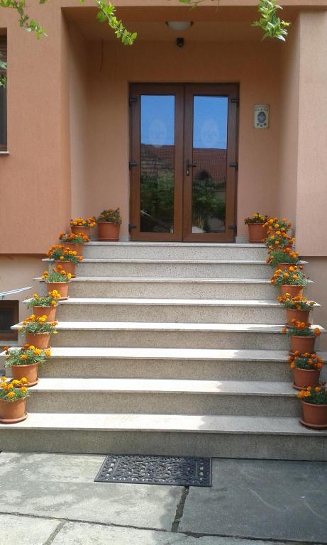 Pensiunea Damiris - Bed and Breakfast Băile Felix