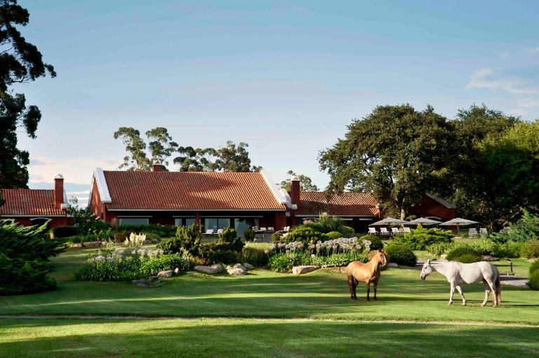 Estancia La Estrella - B&B Napaleofú