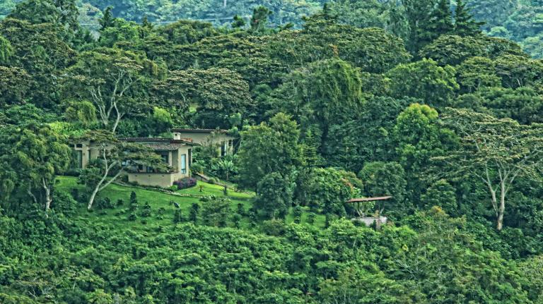 The Guest Suites at Manana Madera - B&B Boquete