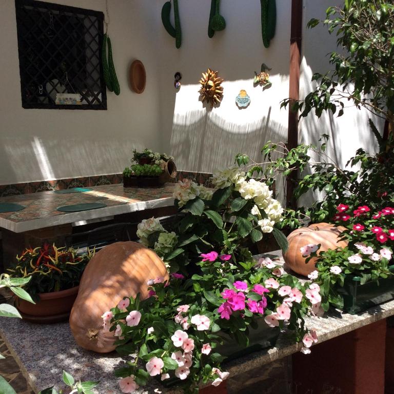 Villa Isabella - B&B Zambrone