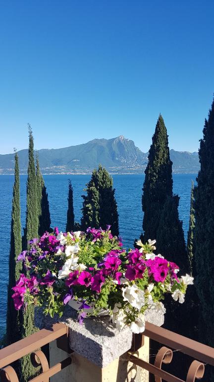 Il Paradiso Apartments Great View Gardasee - Ferienwohnung Torri del Benaco