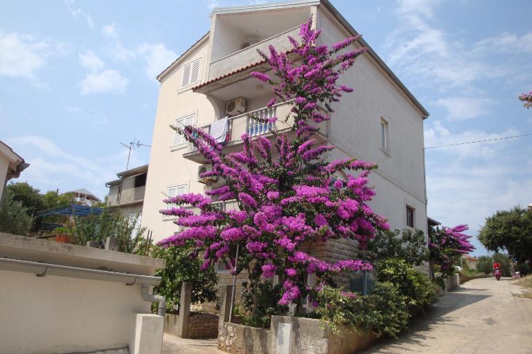 Apartmani Gojko - B&B Sali